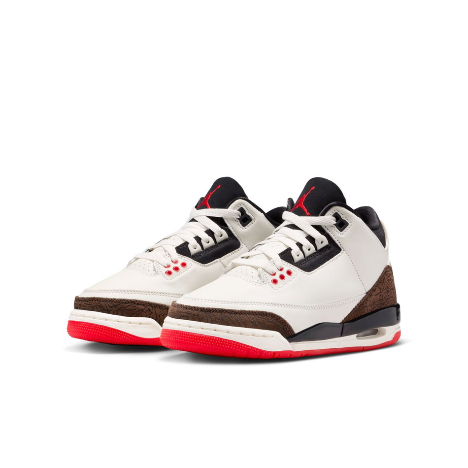 Air Jordan 3 Retro 