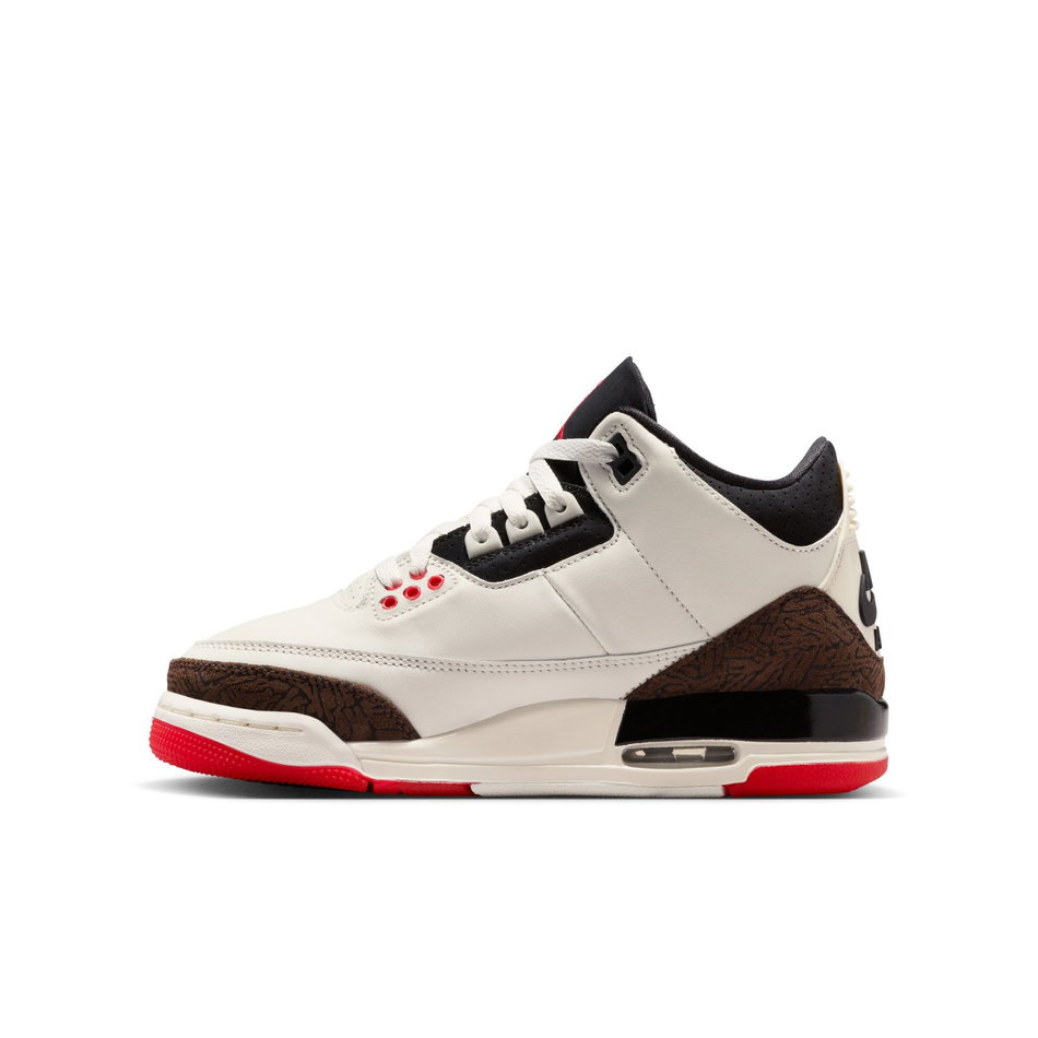 Air Jordan 3 Retro 