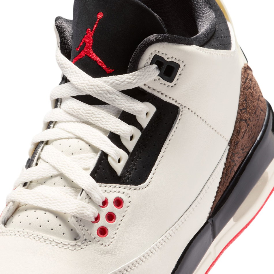 Air Jordan 3 Retro 