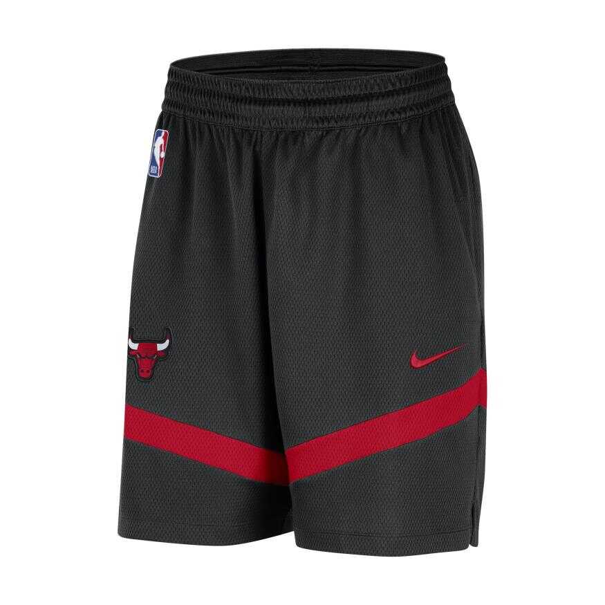 Chicago Bulls Dri Fit Icon+ 8In Erkek Şort