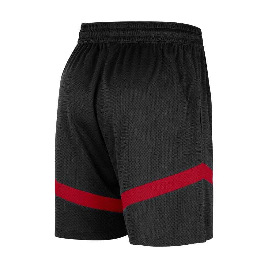 Chicago Bulls Dri Fit Icon+ 8In Erkek Şort