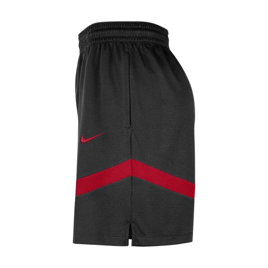 Chicago Bulls Dri Fit Icon+ 8In Erkek Şort