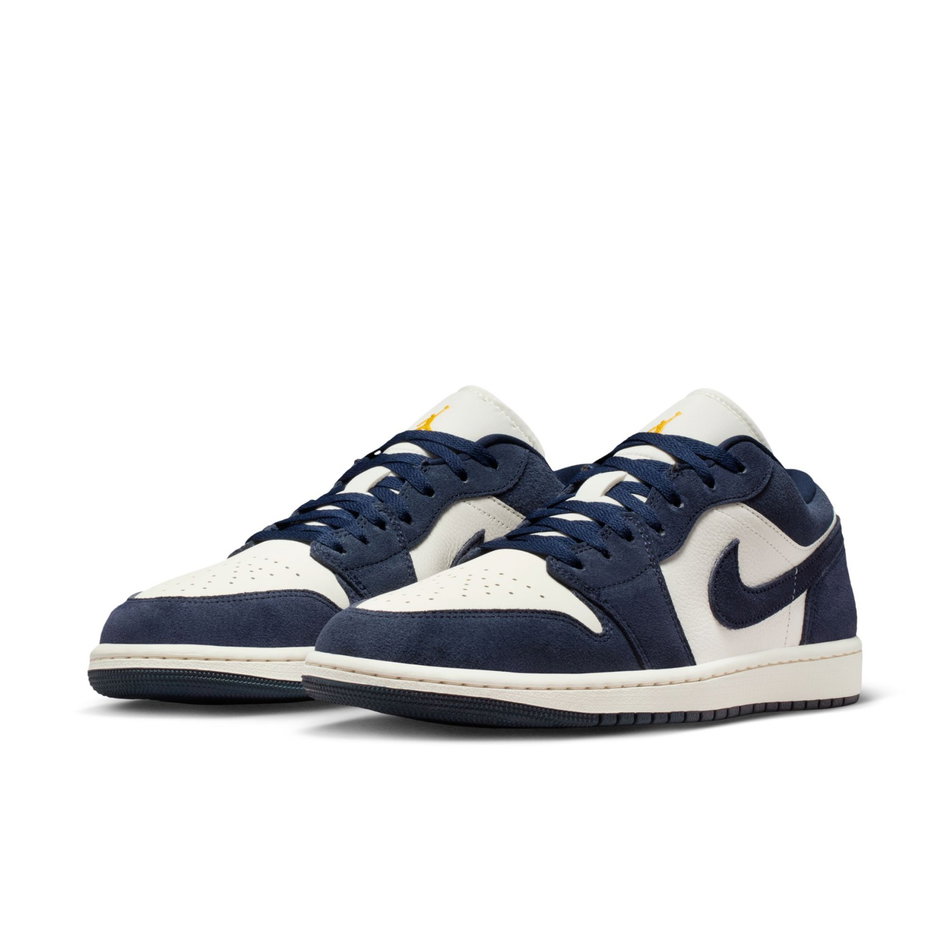 Air Jordan 1 Low SE 'Obsidian' Erkek Basketbol Ayakkabısı