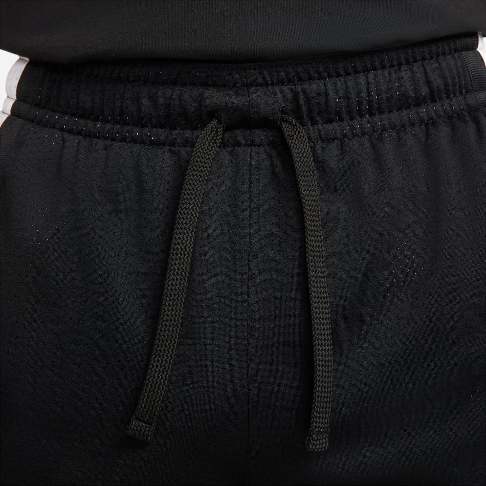 Jordan Dri-FIT Sport Mesh Short Erkek Şort