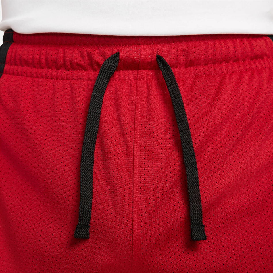 Jordan Dri-FIT Sport Mesh Short Erkek Şort