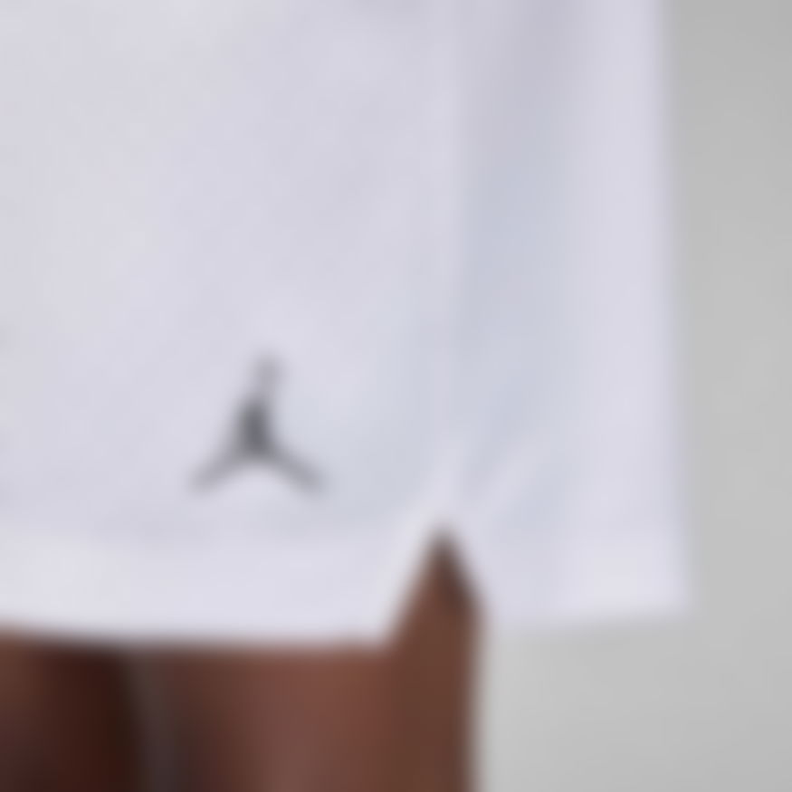 Jordan Dri-Fit Sport Mesh Short Erkek Şort