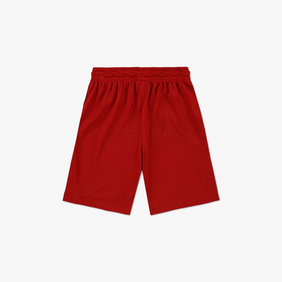Jordan Mesh Performance Short Çocuk Kırmızı Şort