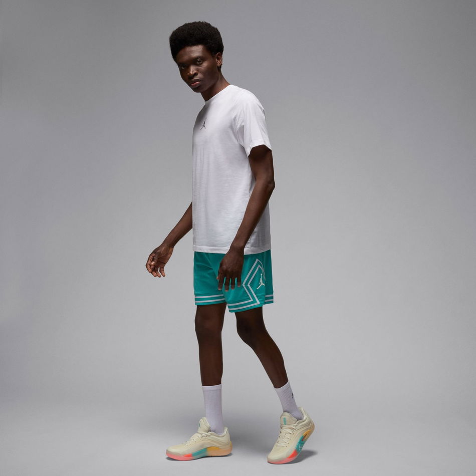 Jordan Zion 4 'Low Country' Erkek Basketbol Ayakkabısı