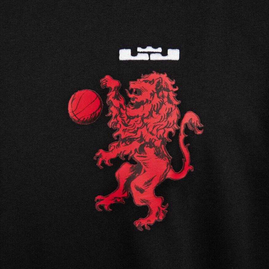 LeBron James Tee M90 Erkek Tişört
