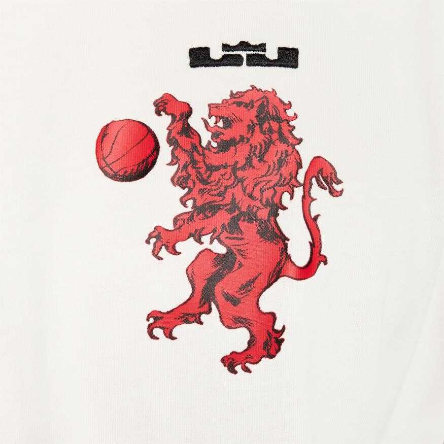 LeBron James Tee M90 Erkek Tişört