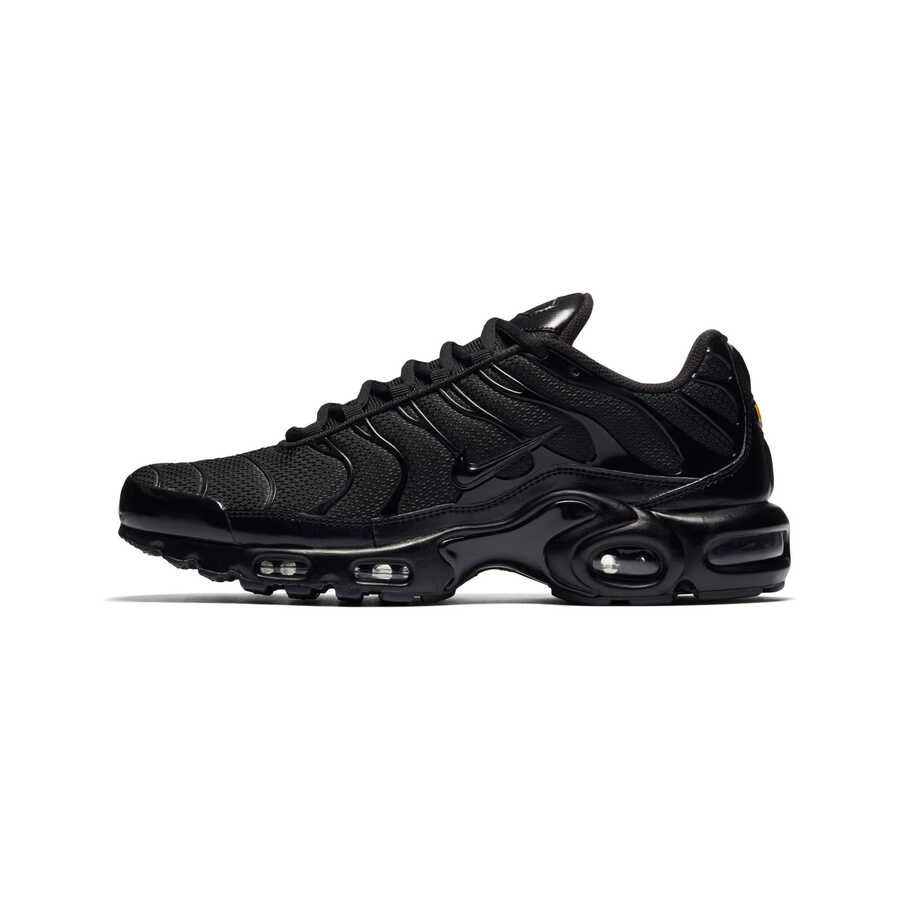 Air Max Plus Erkek Sneaker Ayakkabı