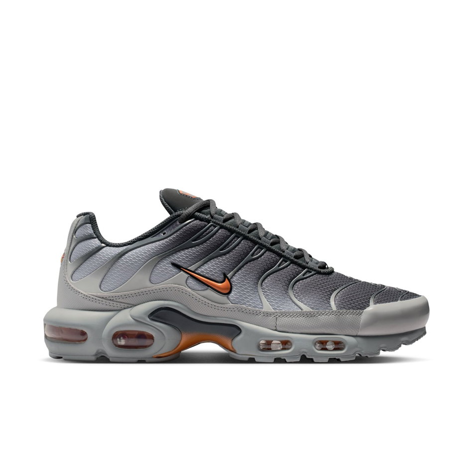 Air Max Plus Erkek Sneaker Ayakkabı