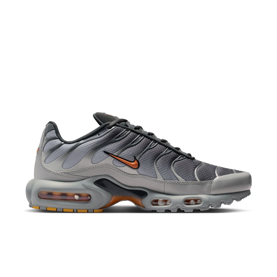 Air Max Plus Erkek Sneaker Ayakkabı