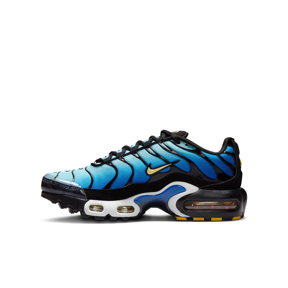 Air Max Plus Gs Sneaker Ayakkabı