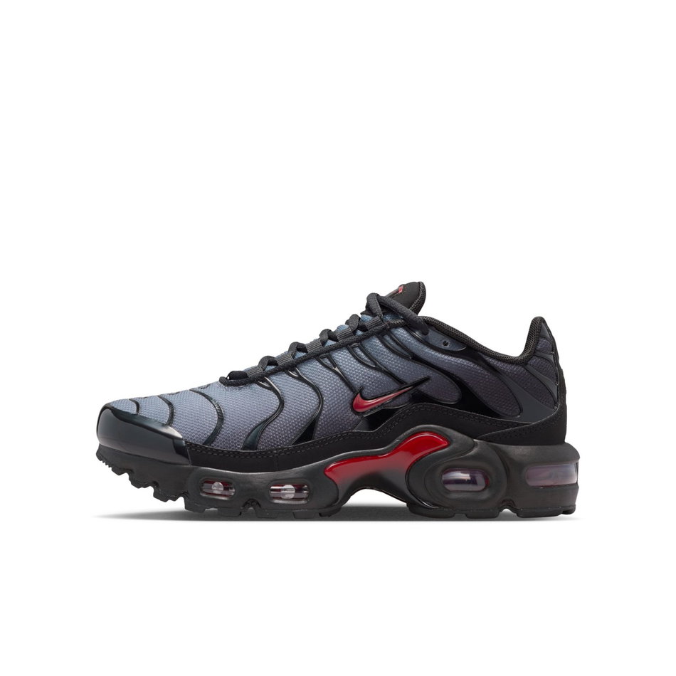 Air Max Plus Gs Sneaker Ayakkabı