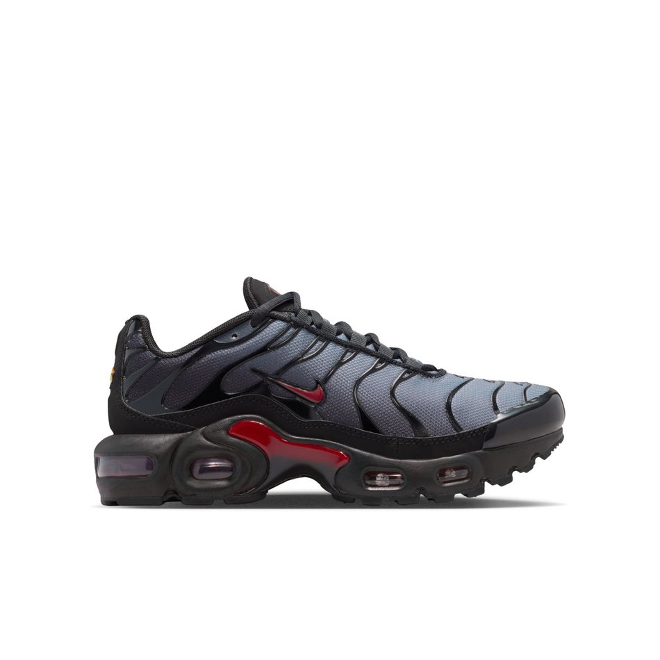 Air Max Plus Gs Sneaker Ayakkabı