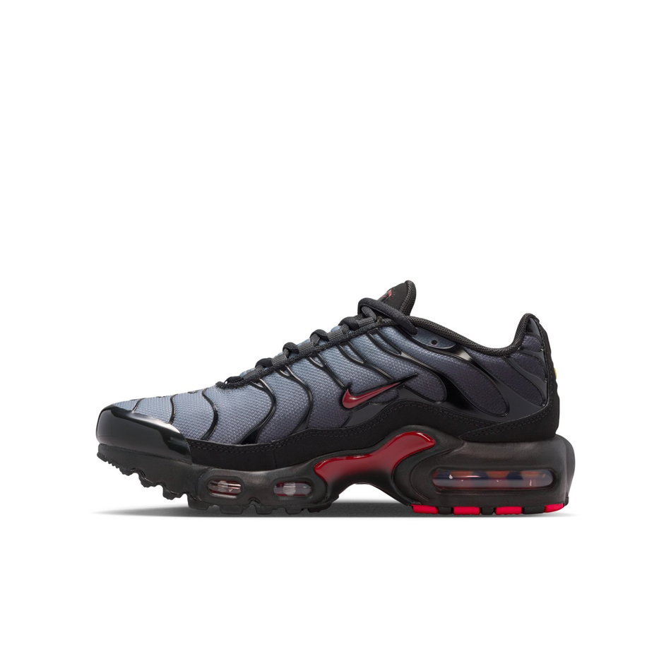 Air Max Plus Gs Sneaker Ayakkabı