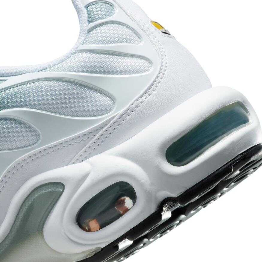 Air Max Plus Kadın Sneaker Ayakkabı