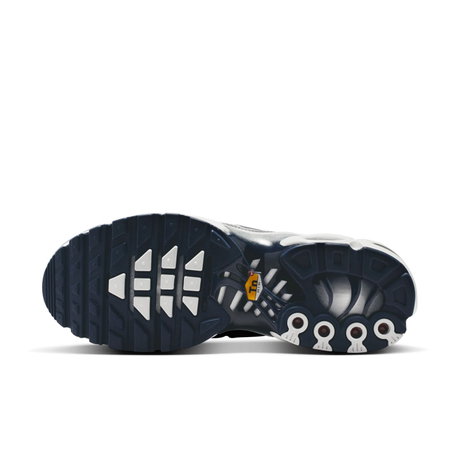 NIKE - Air Max Plus 'Metallic Silver' Kadın Sneaker Ayakkabı (1)