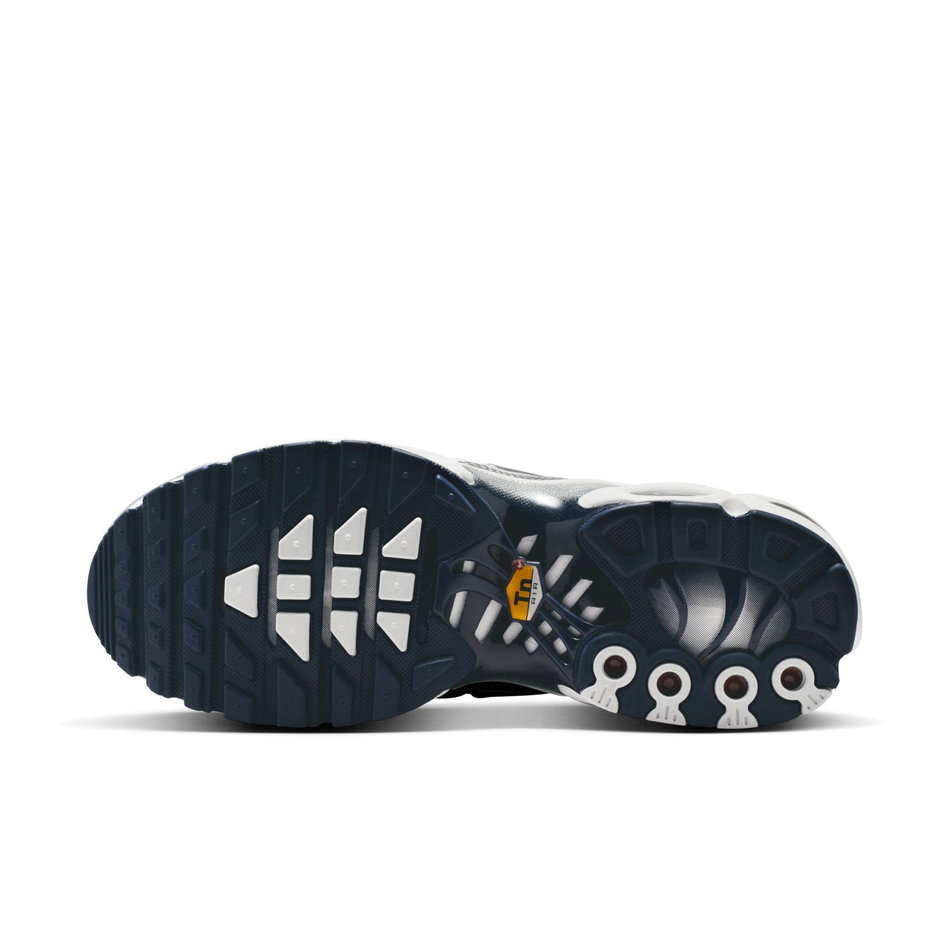 Air Max Plus 'Metallic Silver' Kadın Sneaker Ayakkabı