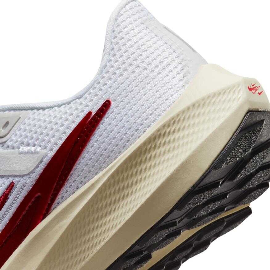 Air Zoom Pegasus 40 Premium Any Kadın Koşu Ayakkabısı