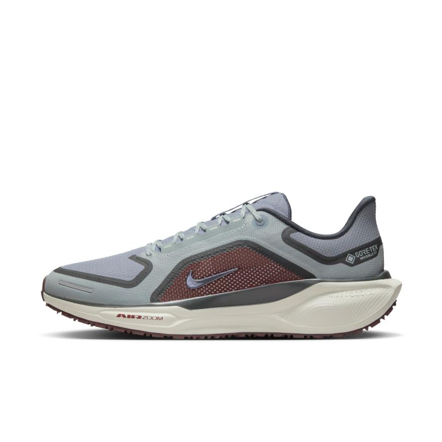 Air Zoom Pegasus 41 GORE-TEX Erkek Koşu Ayakkabısı