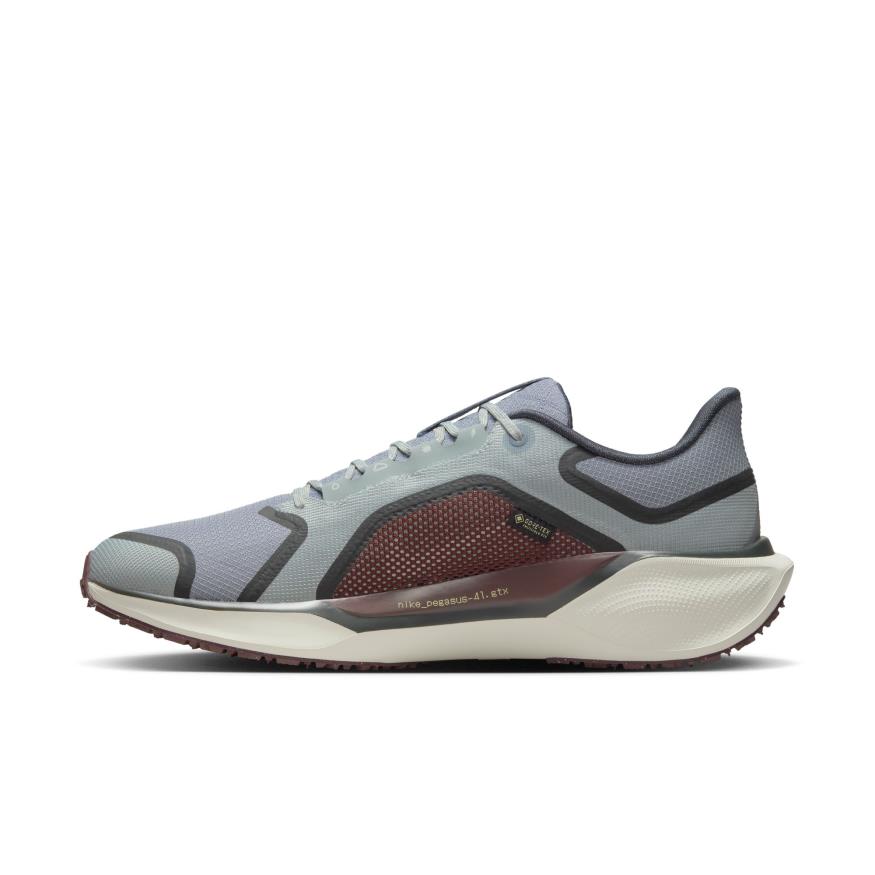 Air Zoom Pegasus 41 GORE-TEX Erkek Koşu Ayakkabısı