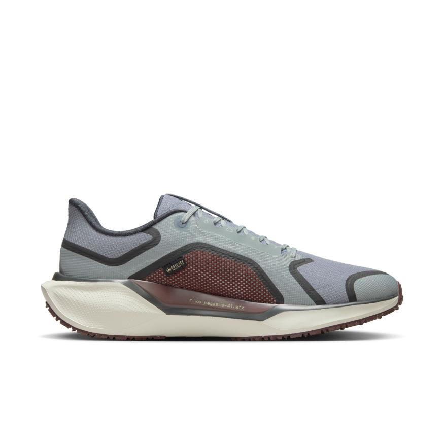 Air Zoom Pegasus 41 GORE-TEX Erkek Koşu Ayakkabısı