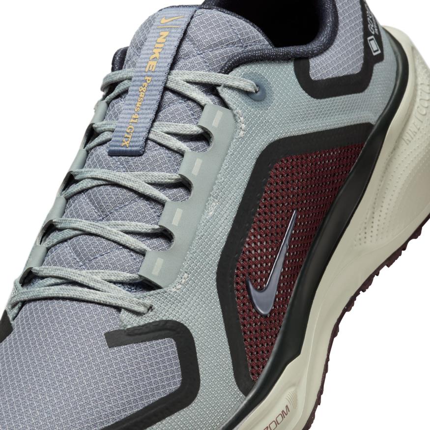 Air Zoom Pegasus 41 GORE-TEX Erkek Koşu Ayakkabısı