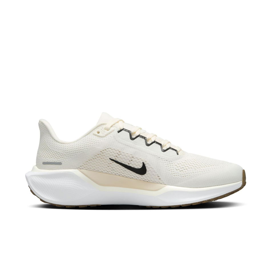 Air Zoom Pegasus 41 Kadın Koşu Ayakkabısı