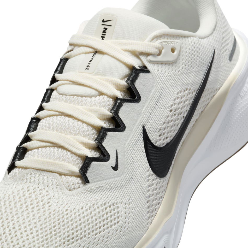 Air Zoom Pegasus 41 Kadın Koşu Ayakkabısı