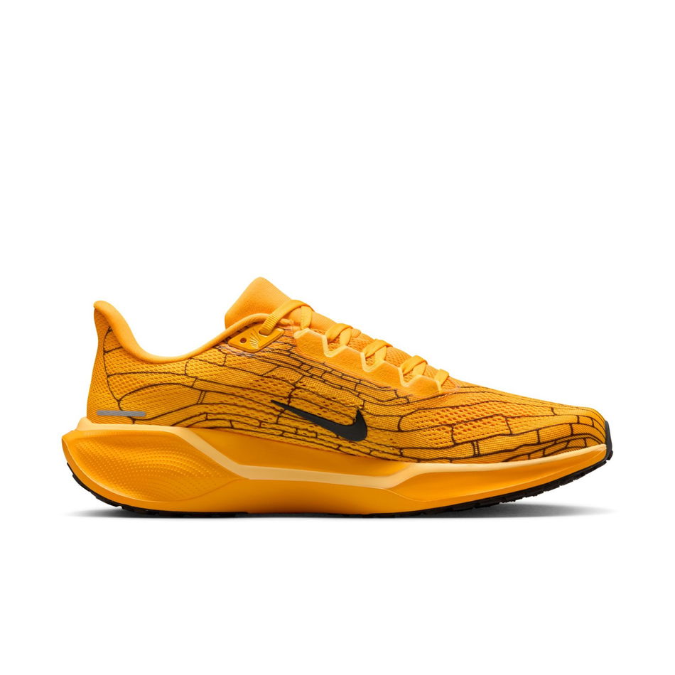 Air Zoom Pegasus 41 'Modern Mayfly' LV8 Erkek Koşu Ayakkabısı