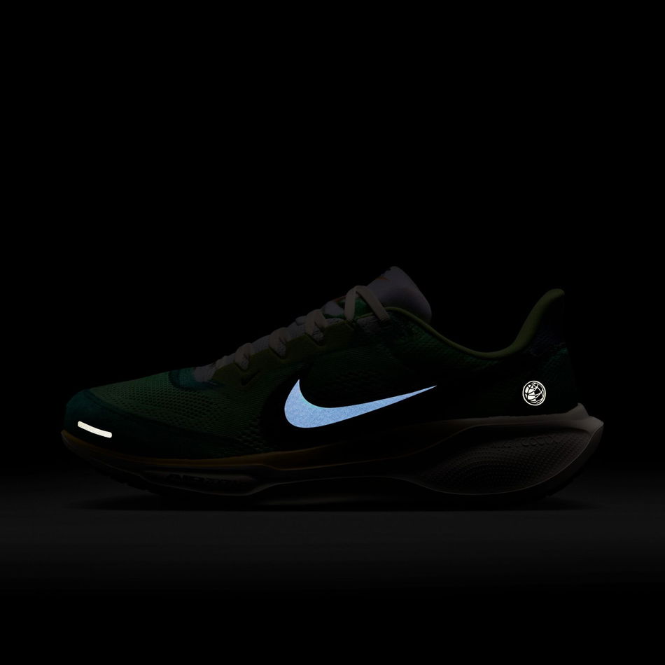 Air Zoom Pegasus 41 'Waffle Racer' SE Erkek Koşu Ayakkabısı
