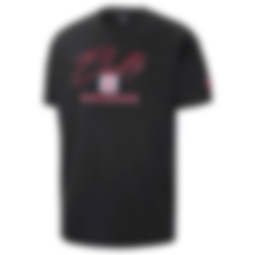 NIKE - Chicago Bulls M90 Ss Tee Erkek Tişört