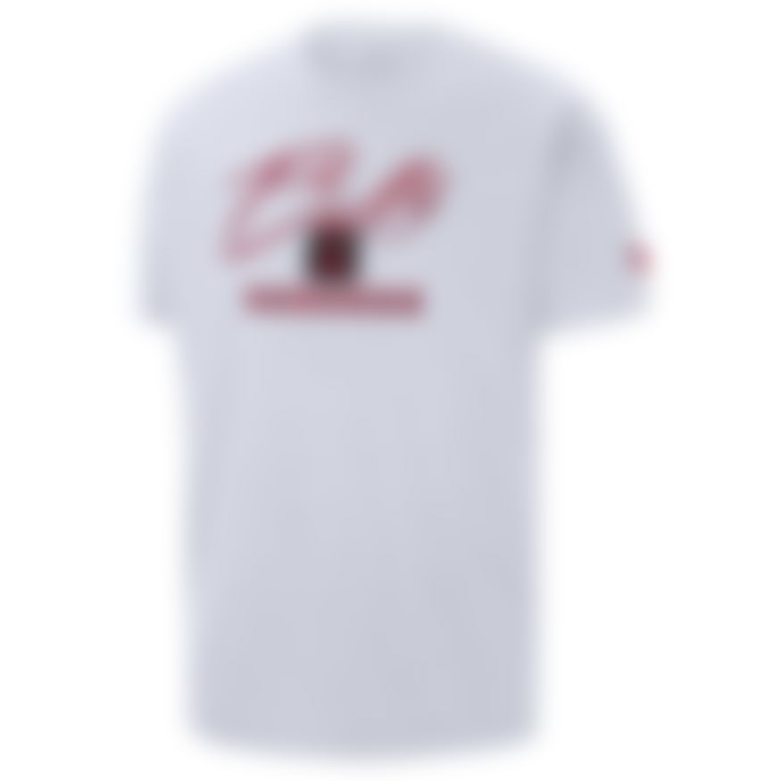 NIKE - Chicago Bulls M90 Ss Tee Erkek Tişört