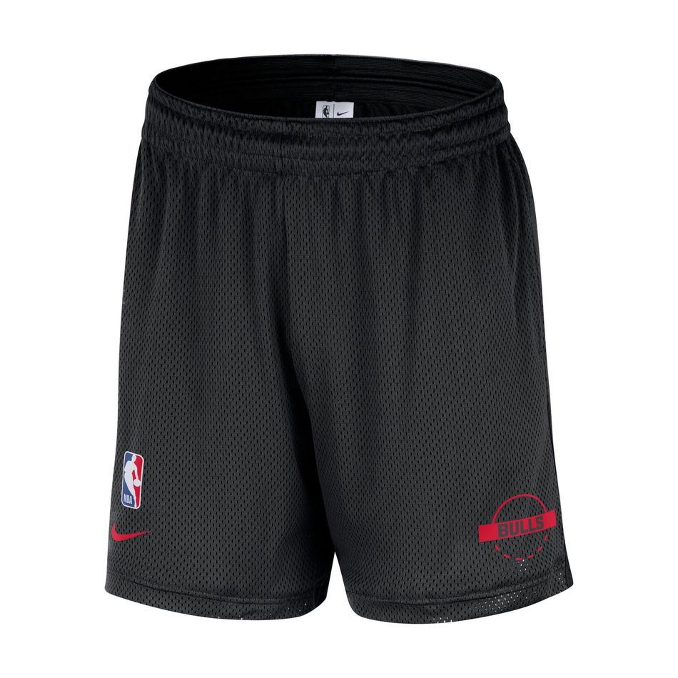 Chicago Bulls Mesh Short Erkek Şort