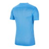 NIKE - Dri-FIT Park VII Jersey Short-Sleeve Erkek Forma (1)
