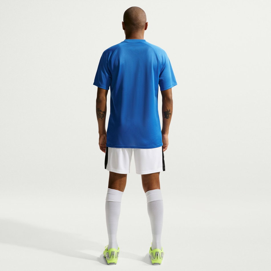 Dri-FIT Park VIII Jersey SS Erkek Mavi Tişört