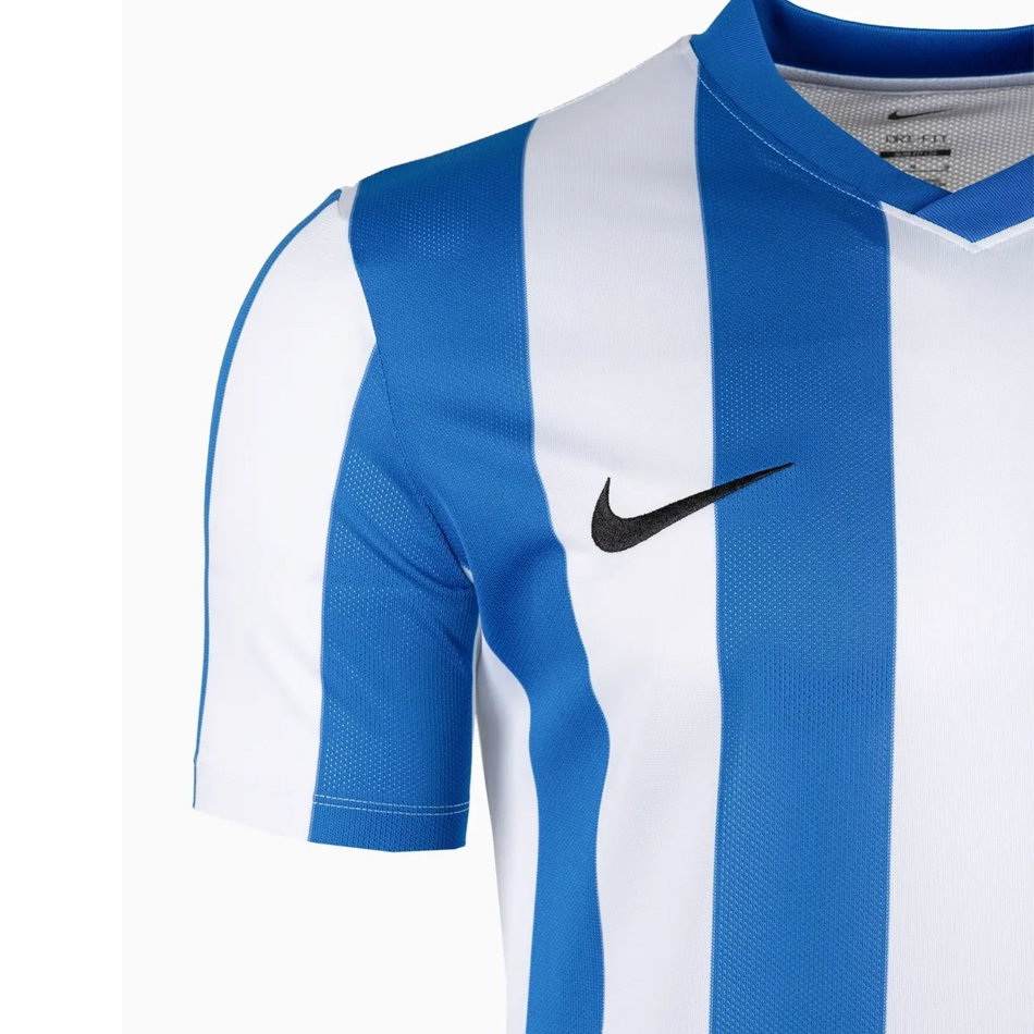 Dri-FIT Stripe Jersey SS Erkek Mavi Tişört