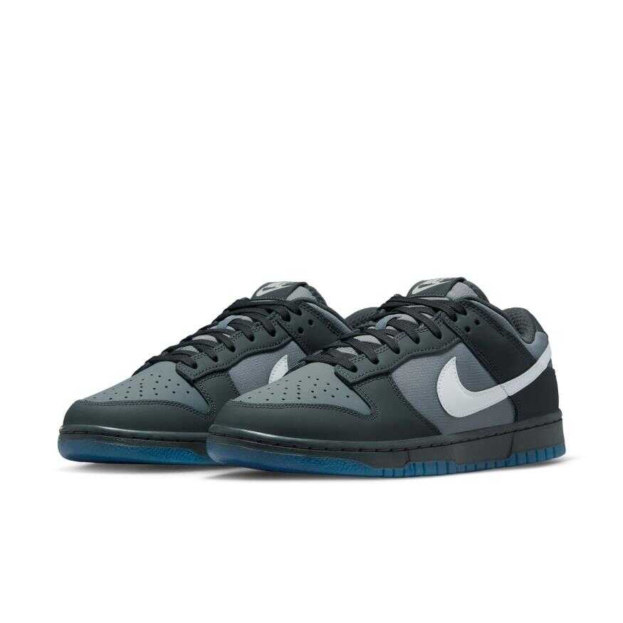 Dunk Low Erkek Sneaker Ayakkabı
