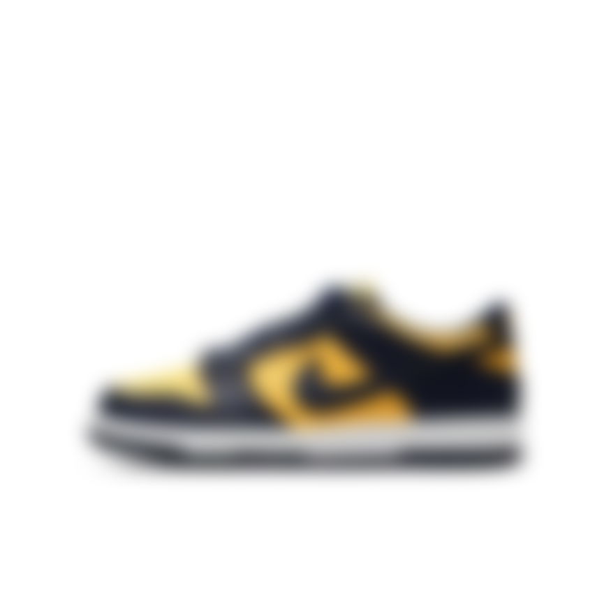 NIKE - Dunk Low Gs Sneaker Ayakkabı (1)