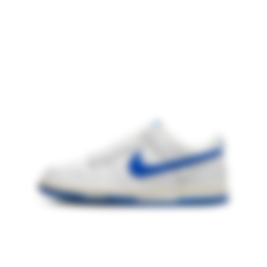 NIKE - Dunk Low (Gs) Çocuk Sneaker Ayakkabı (1)