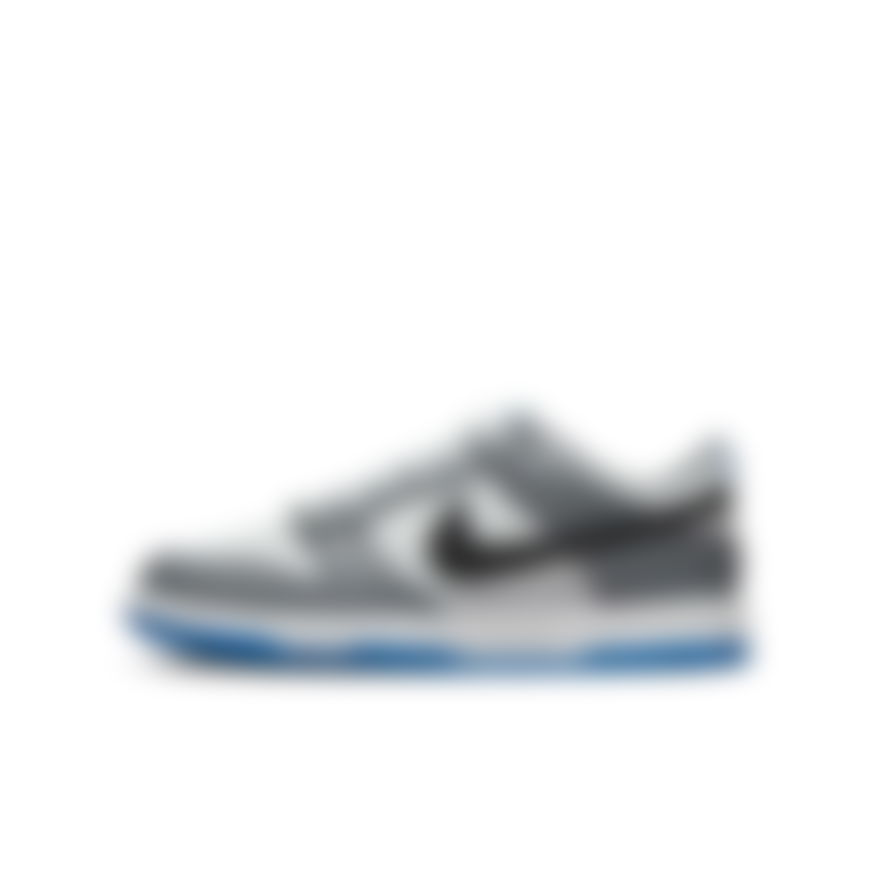 NIKE - Dunk Low (Gs) Çocuk Sneaker Ayakkabı (1)