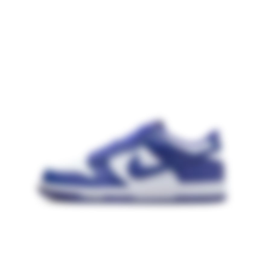 NIKE - Dunk Low Gs Sneaker Ayakkabı (1)