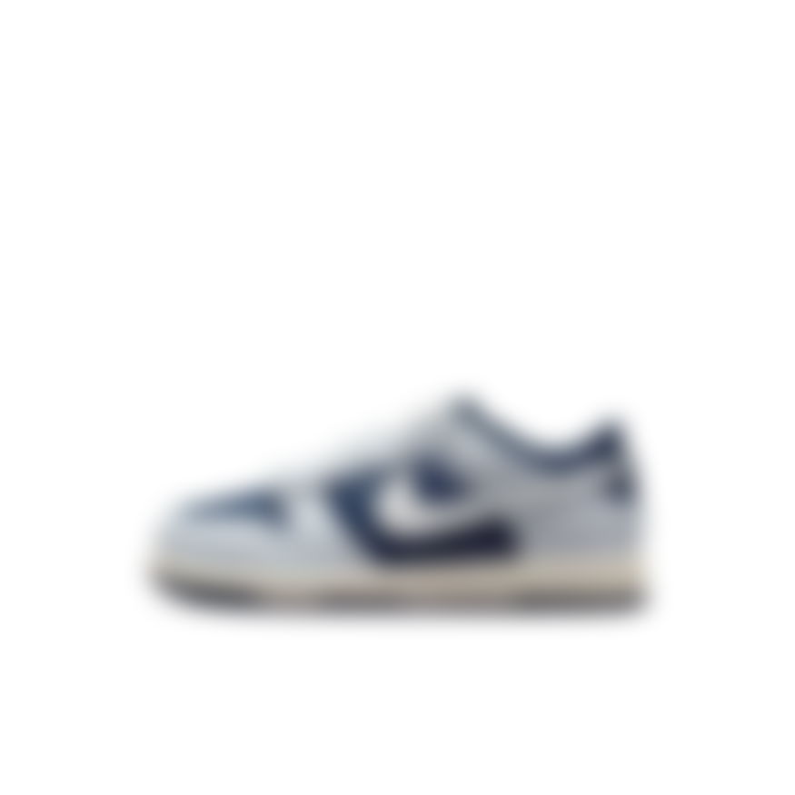 NIKE - Dunk Low Pse Çocuk Sneaker Ayakkabı (1)