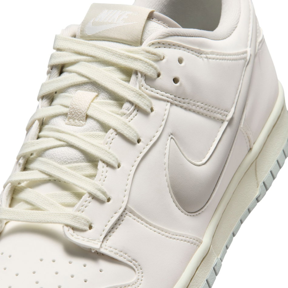 Dunk Low Retro Premium Erkek Sneaker Ayakkabı