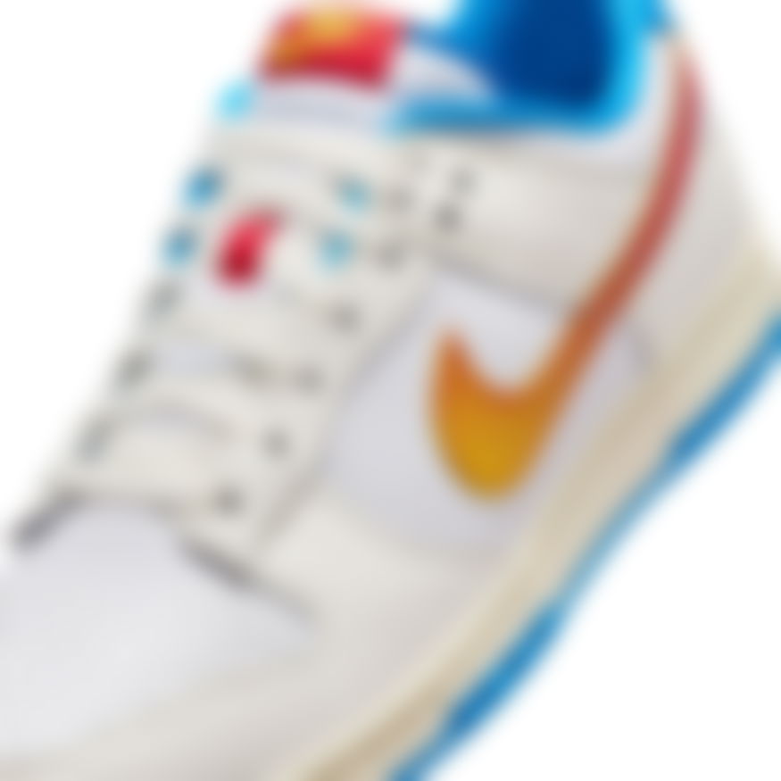 Dunk Low Retro SE Erkek Sneaker Ayakkabı