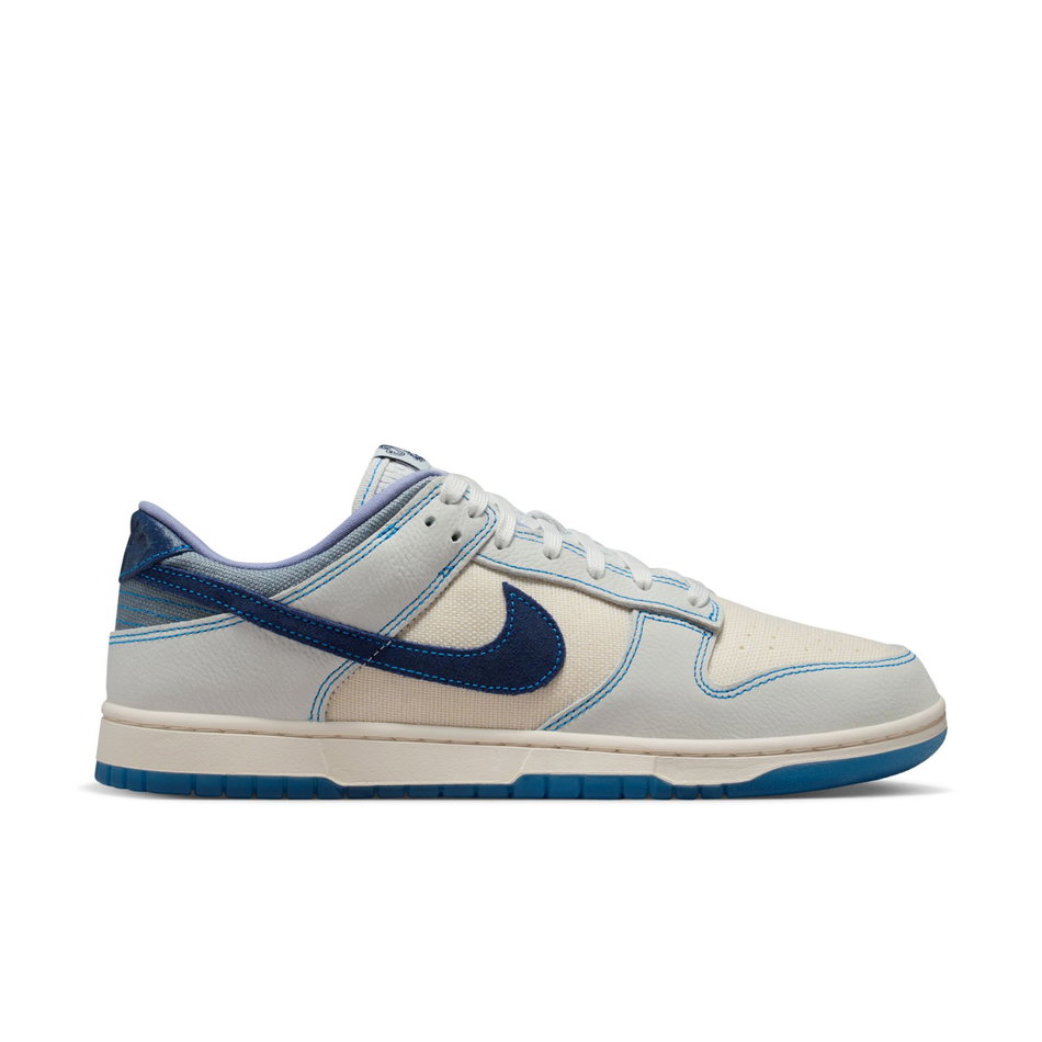 Dunk Low Retro SE Erkek Sneaker Ayakkabı