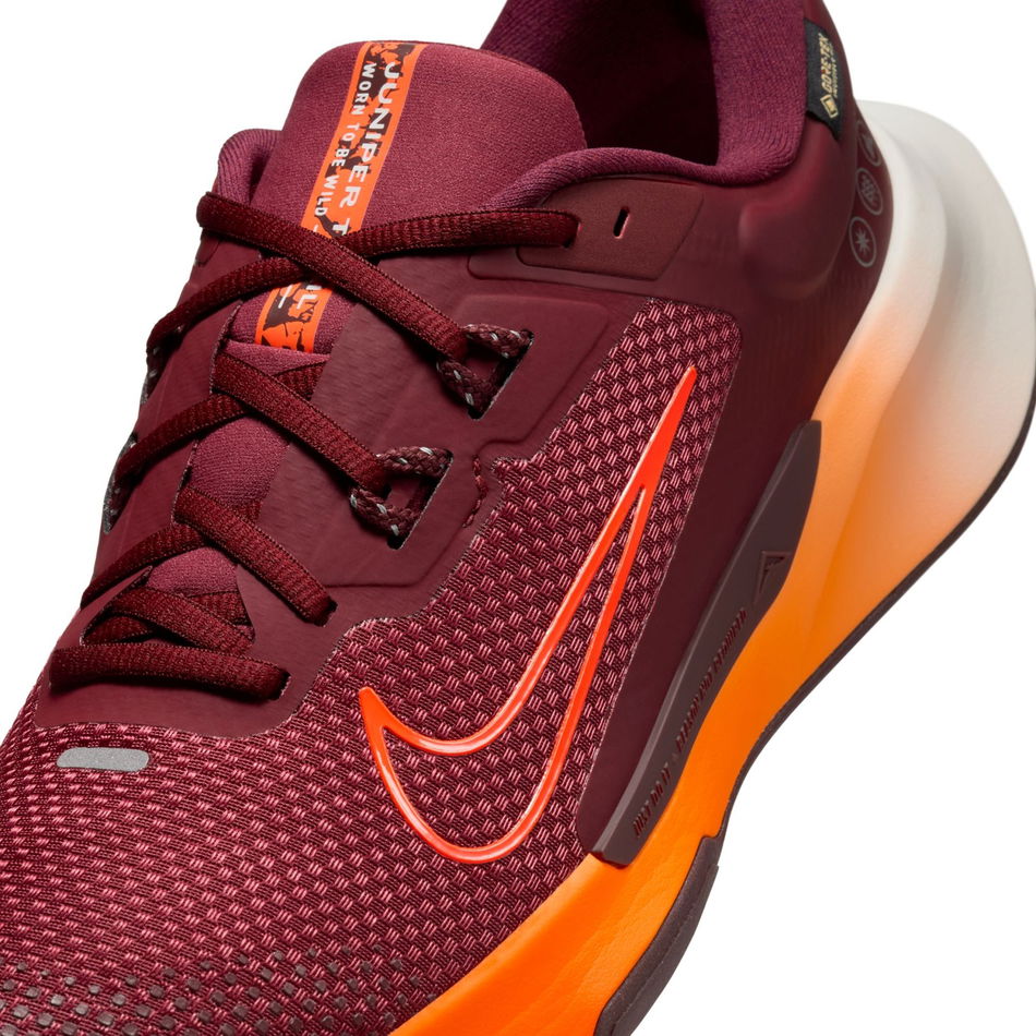 Juniper Trail 2 GORE-TEX Erkek Koşu Ayakkabısı