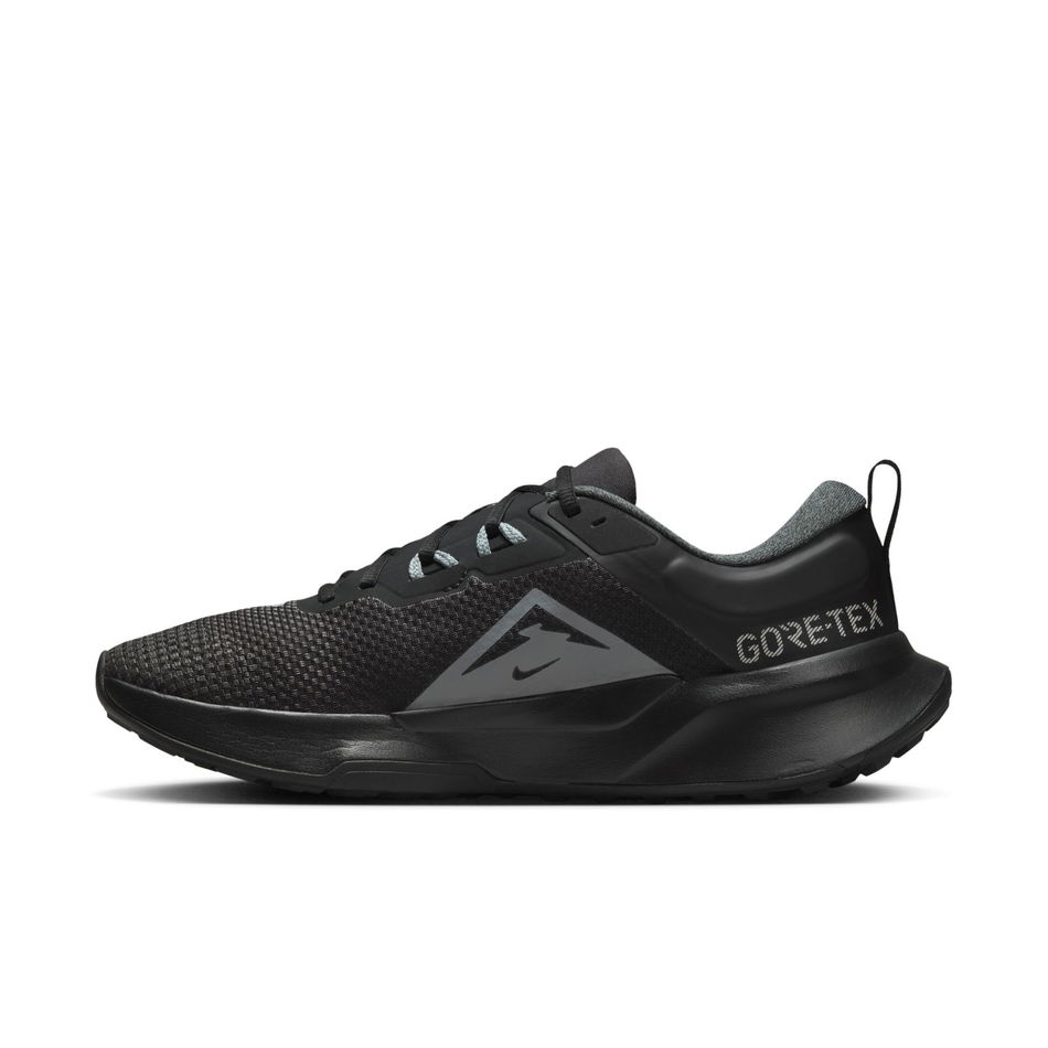 Juniper Trail 2 GORE-TEX Erkek Siyah Koşu Ayakkabısı